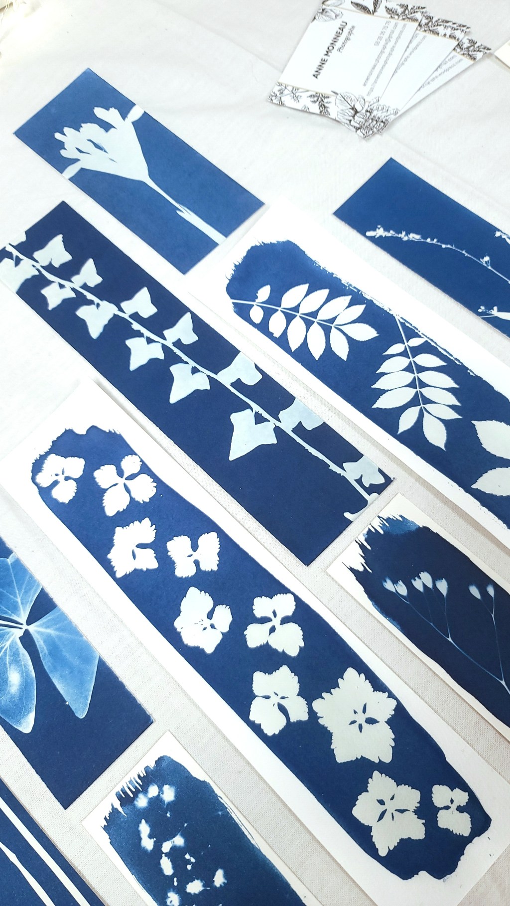 À la découverte du cyanotype : un atelier ludique et&nbsp;créatif